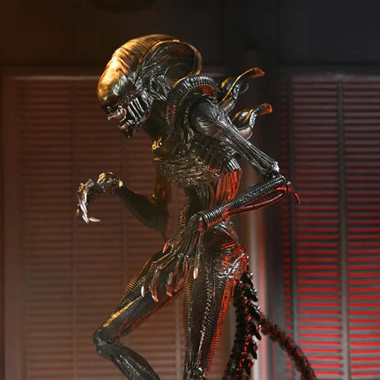 Scorched Alien Xenomorph Alien: Romulus NECA Ultimate