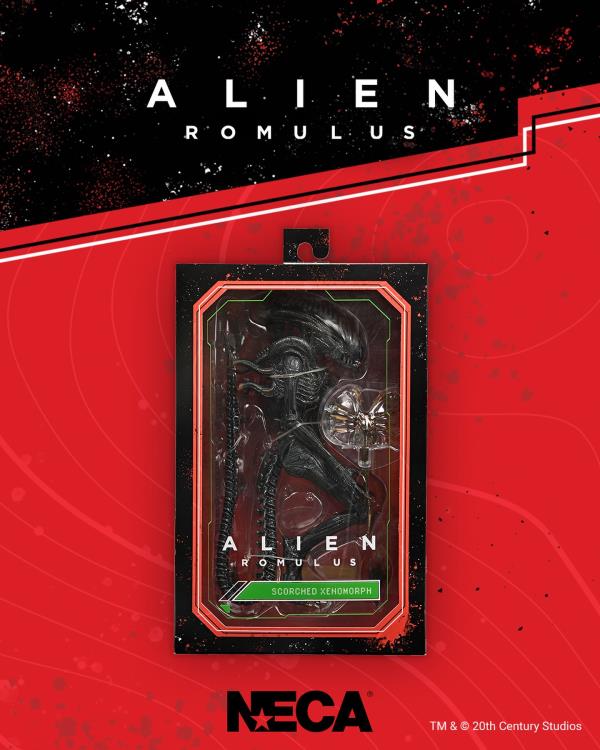 Scorched Alien Xenomorph Alien: Romulus NECA Ultimate