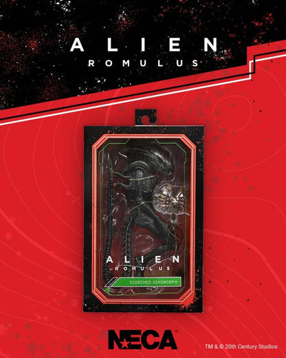 Scorched Alien Xenomorph Alien: Romulus NECA Ultimate