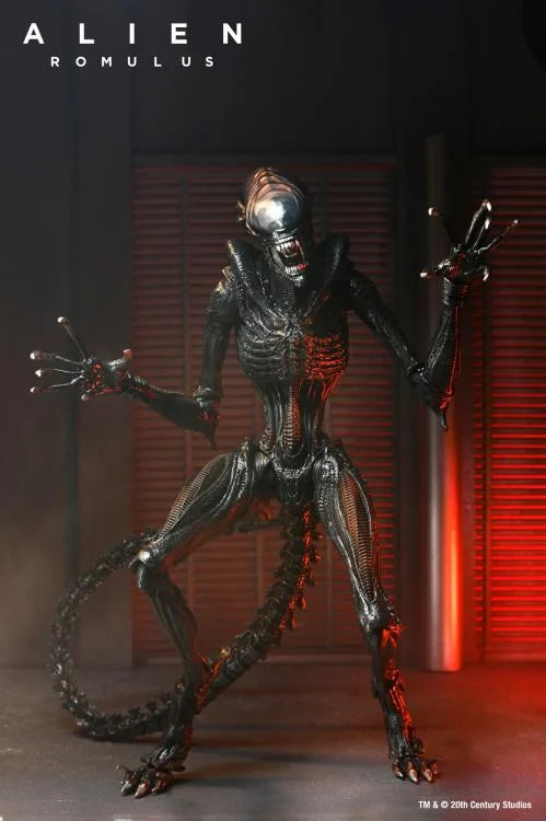 Scorched Alien Xenomorph Alien: Romulus NECA Ultimate