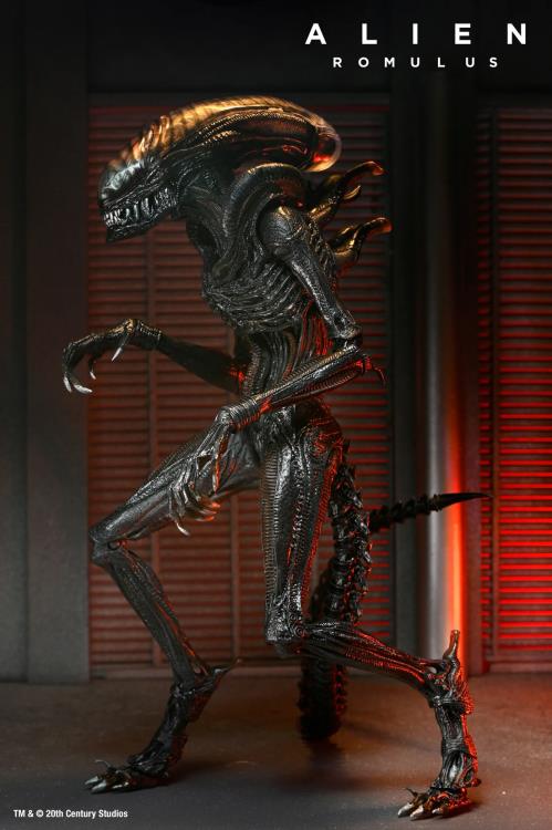 Scorched Alien Xenomorph Alien: Romulus NECA Ultimate