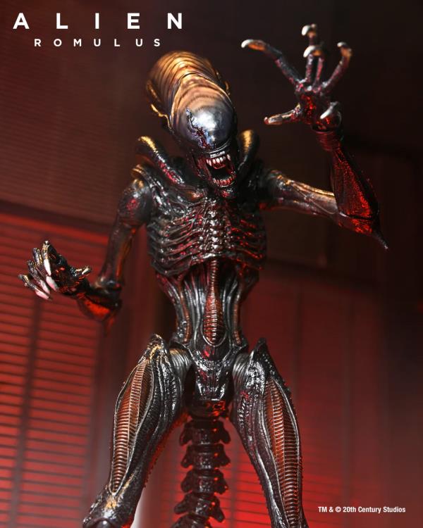 Scorched Alien Xenomorph Alien: Romulus NECA Ultimate