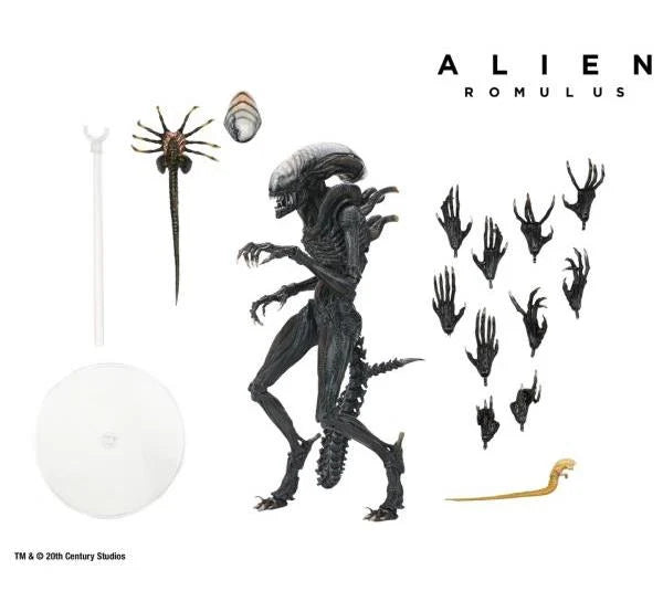 Scorched Alien Xenomorph Alien: Romulus NECA Ultimate