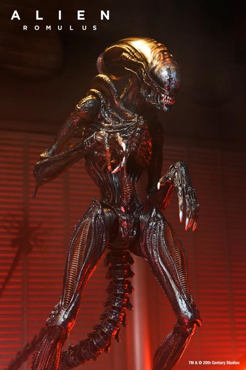 Scorched Alien Xenomorph Alien: Romulus NECA Ultimate