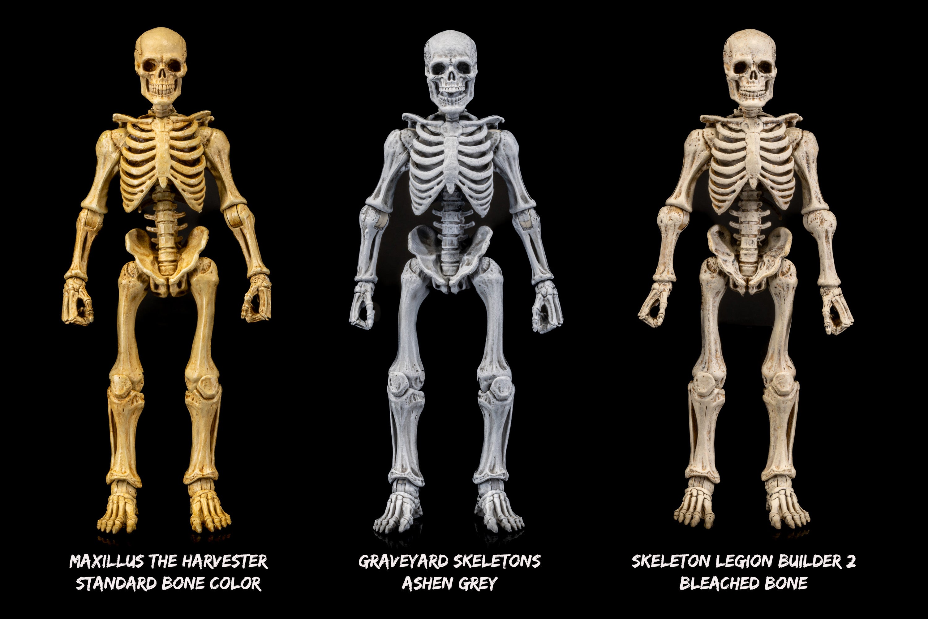 Mythic Legions: Graveyard Skeletons Action Figure 4-Pack