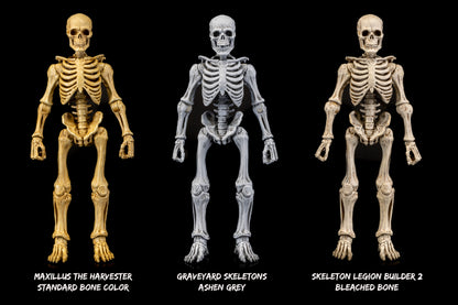 Mythic Legions: Graveyard Skeletons Action Figure 4-Pack